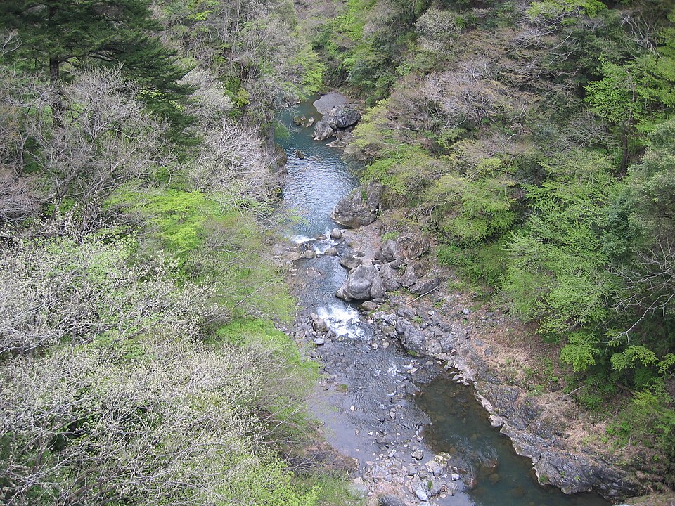 Tama River