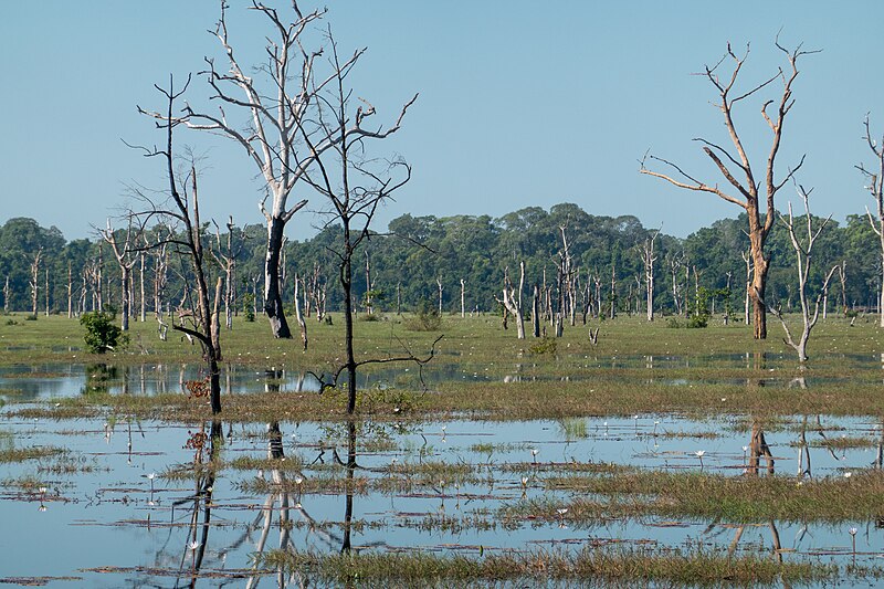 Neak Pean