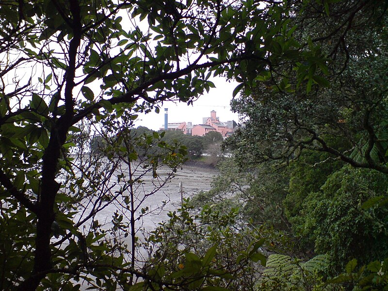 Chelsea Sugar Refinery and Estate