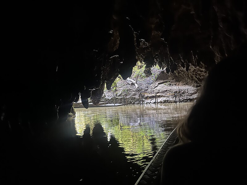 Waitomo Caves