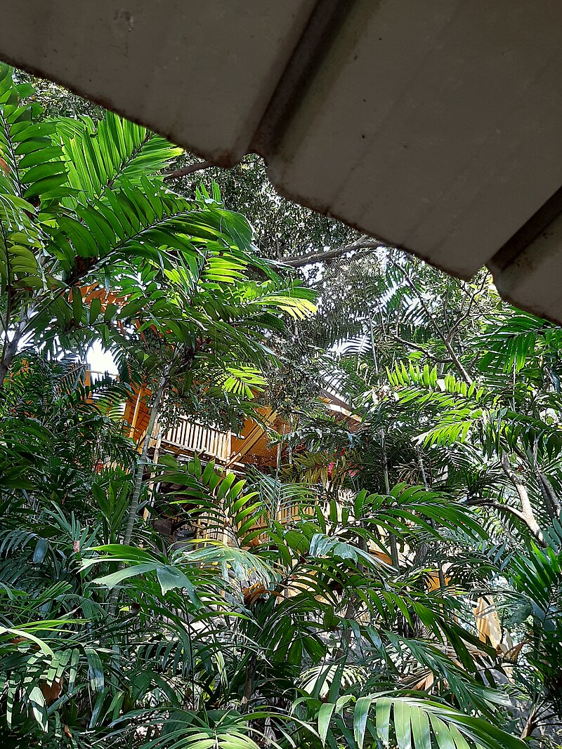 Keramat Kusu
