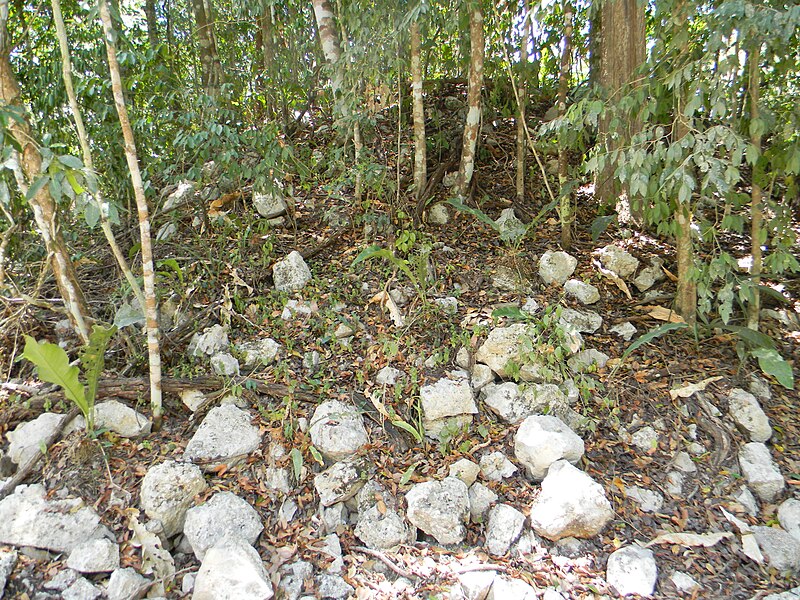 Coba