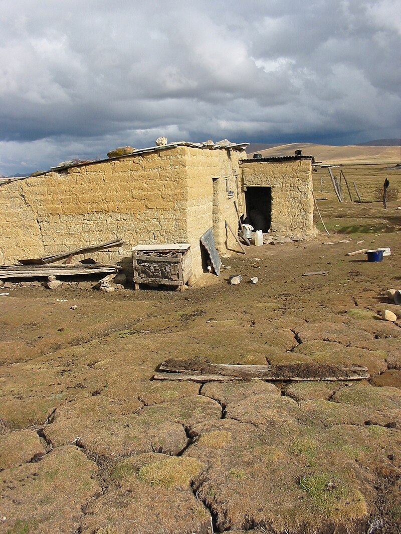 Junin National Reservation