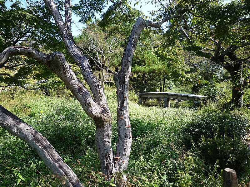 Maruyama Park