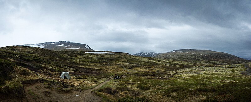 Dovrefjell–Sunndalsfjella National Park