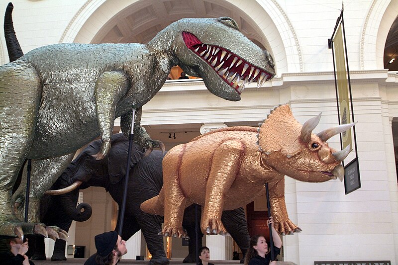 Field Museum of Natural History