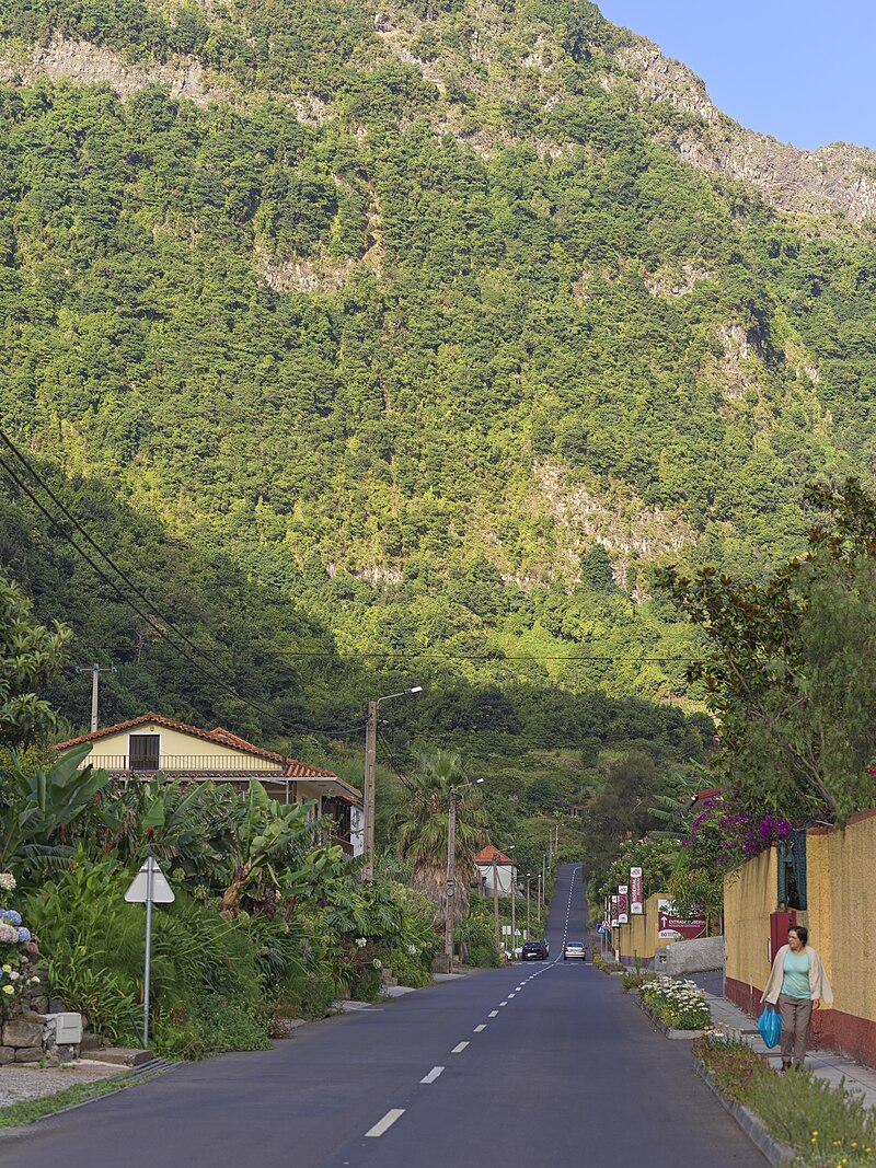 Laurisilva of Madeira