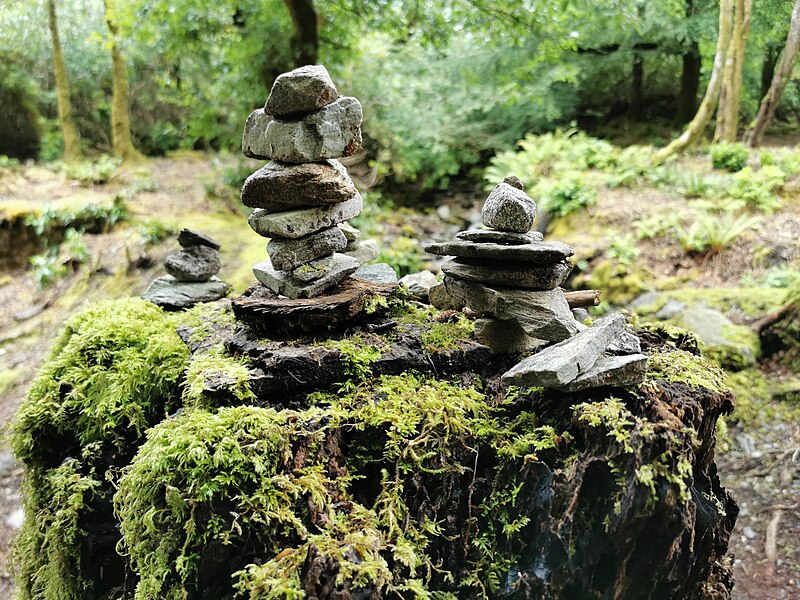 Connemara National Park