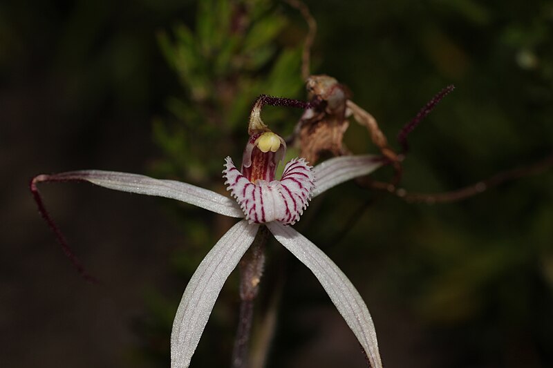 Yalgorup National Park