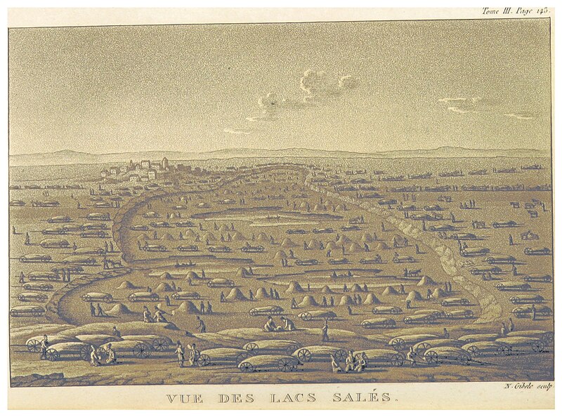 Syvash Bay