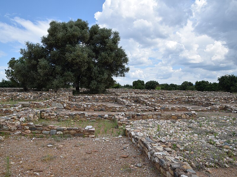 Olynthus