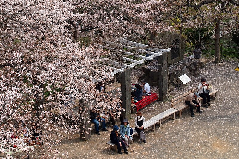 Wakayama Castle