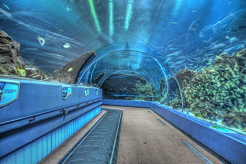 Georgia Aquarium