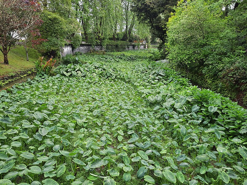 Parque Terra Nostra