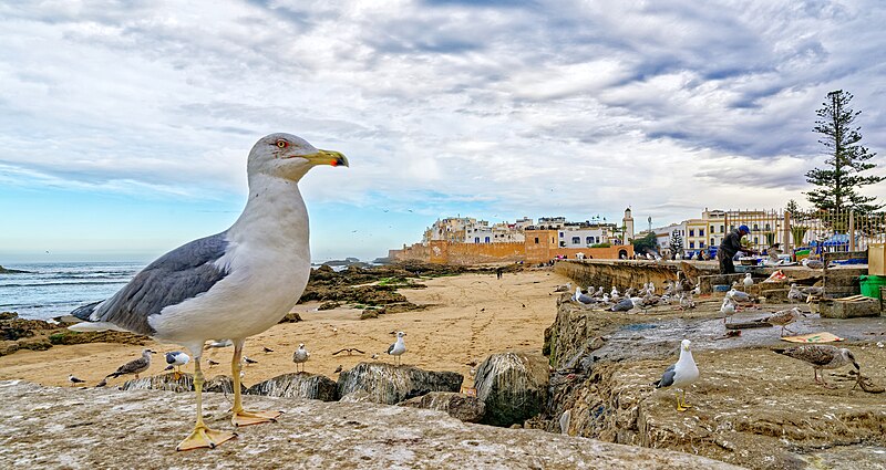 Medina of Essaouira