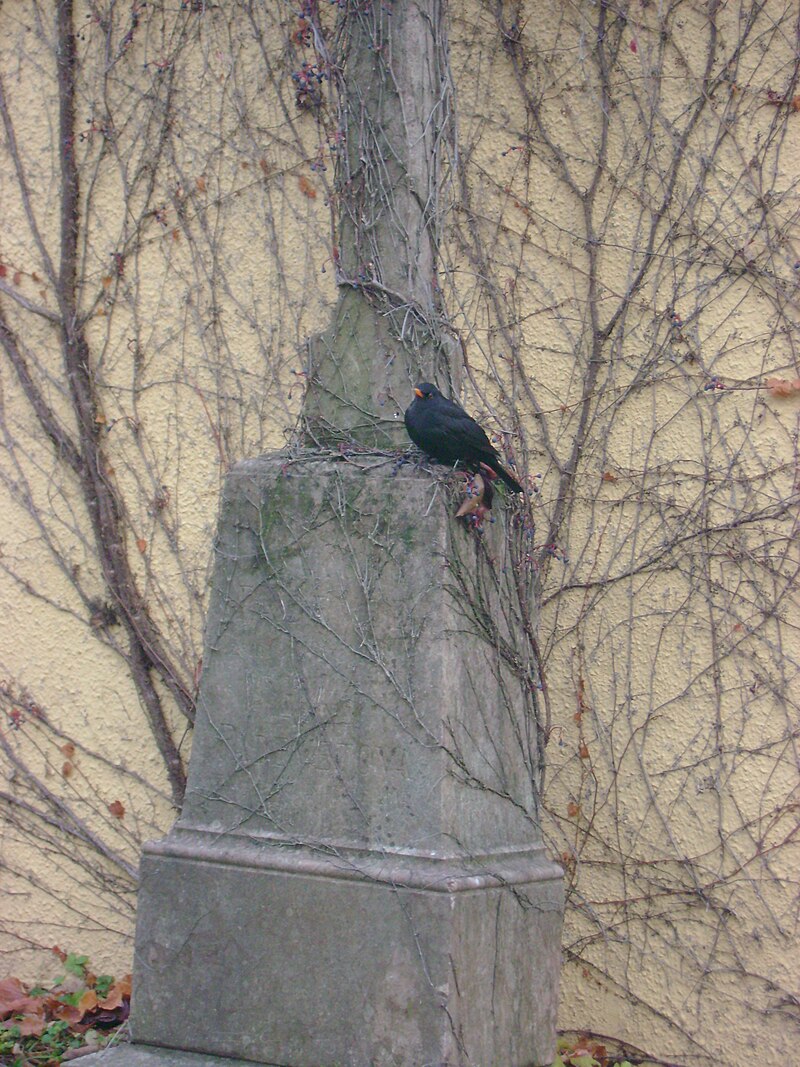 Malvazinky Cemetery