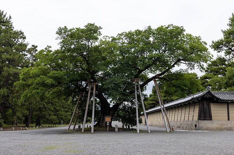 Kyoto Imperial Palace