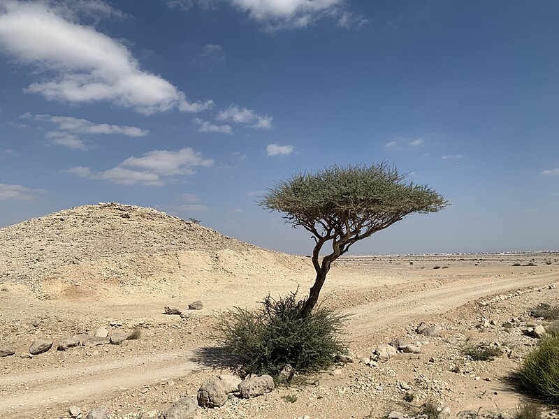 Jebel Hafit Desert Park