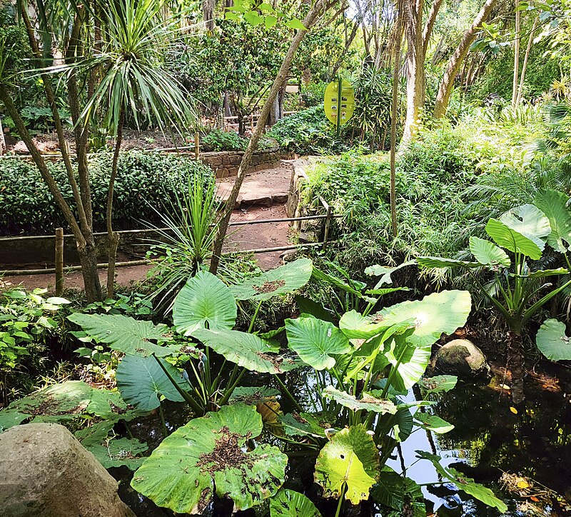 Bouknadel Gardens