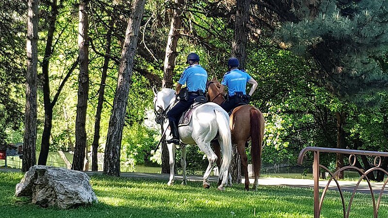 Park Alexandru Ioan Cuza