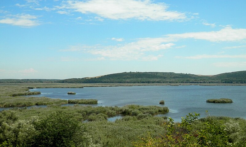 Srebarna Nature Reserve