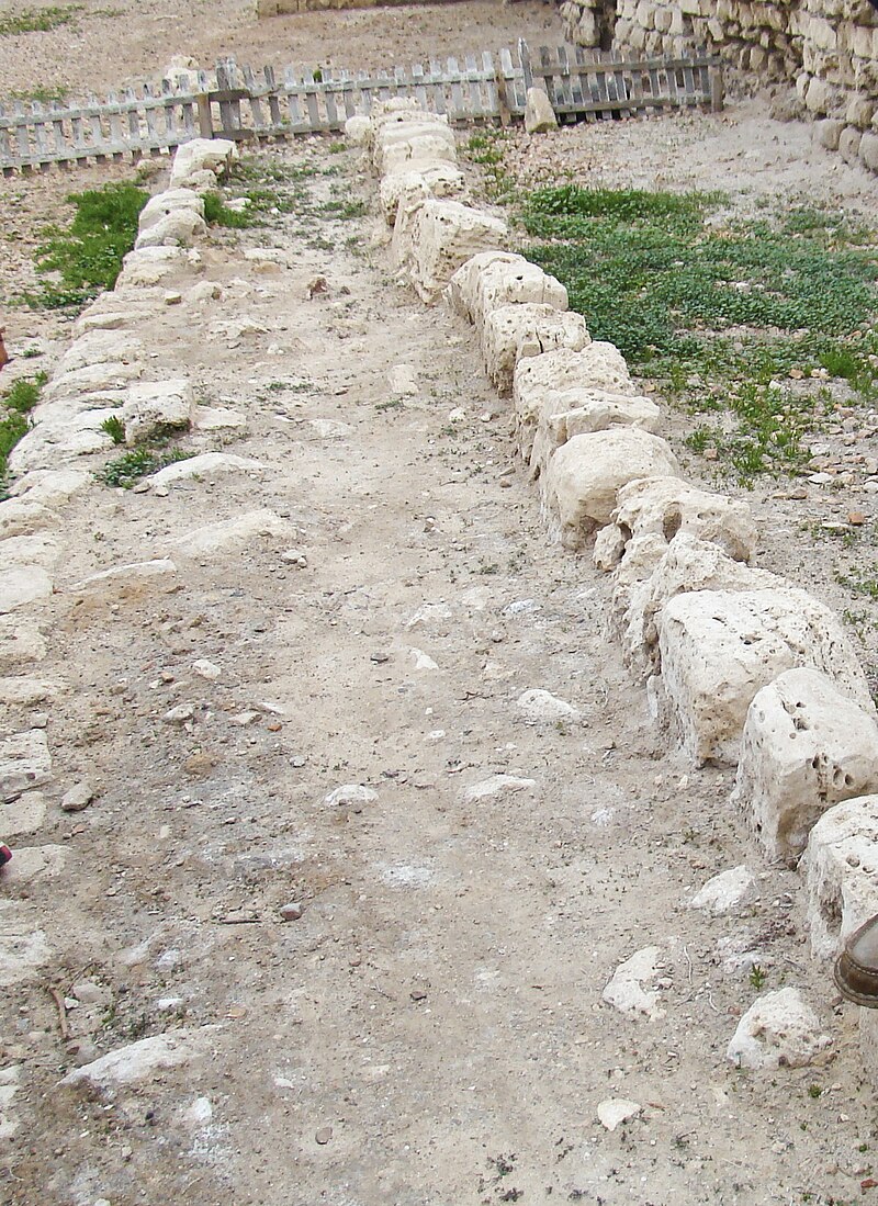 Kom El-Dikka