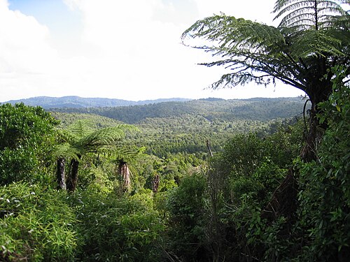 Waitakere Ranges Regional Park