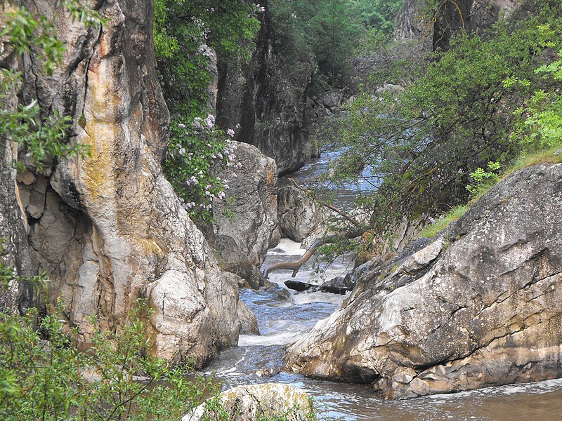 Tran gorge