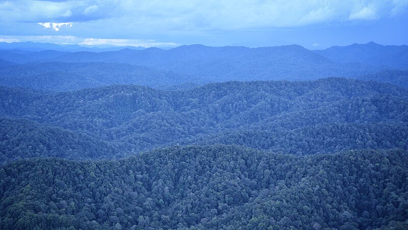 Betung Kerihun National Park