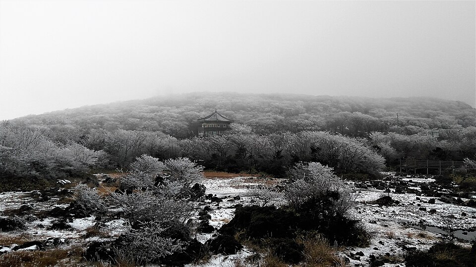 1100 Altitude Wetland