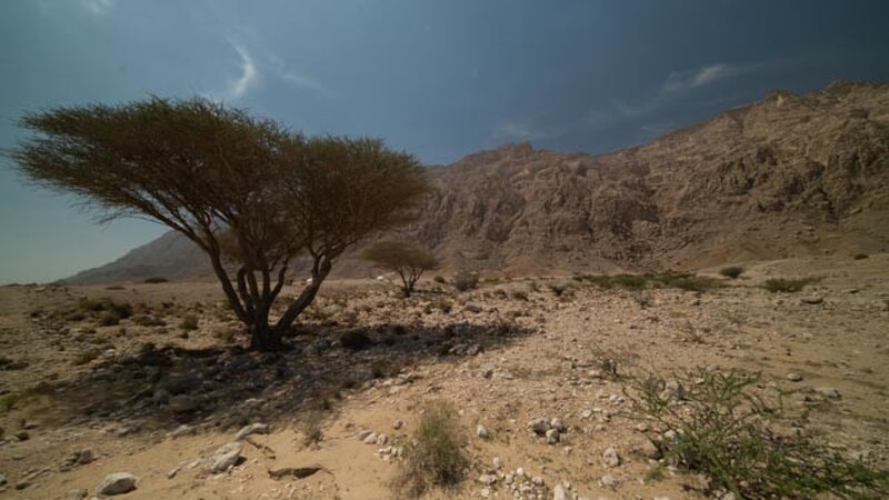 Jabal Hafit