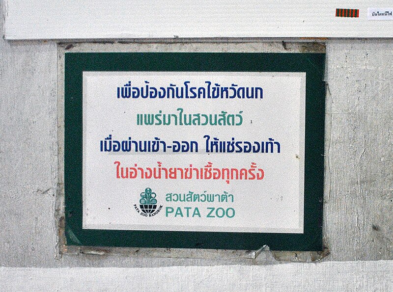 Pata Zoo