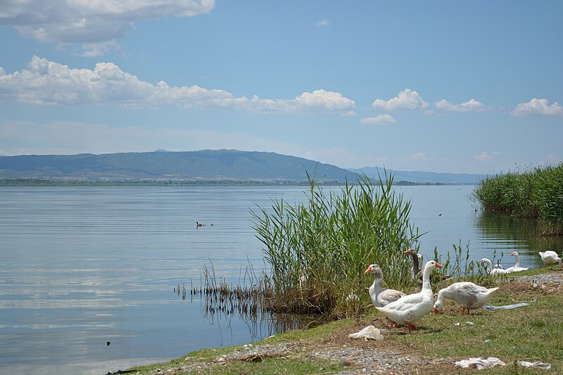 Lake Volvi