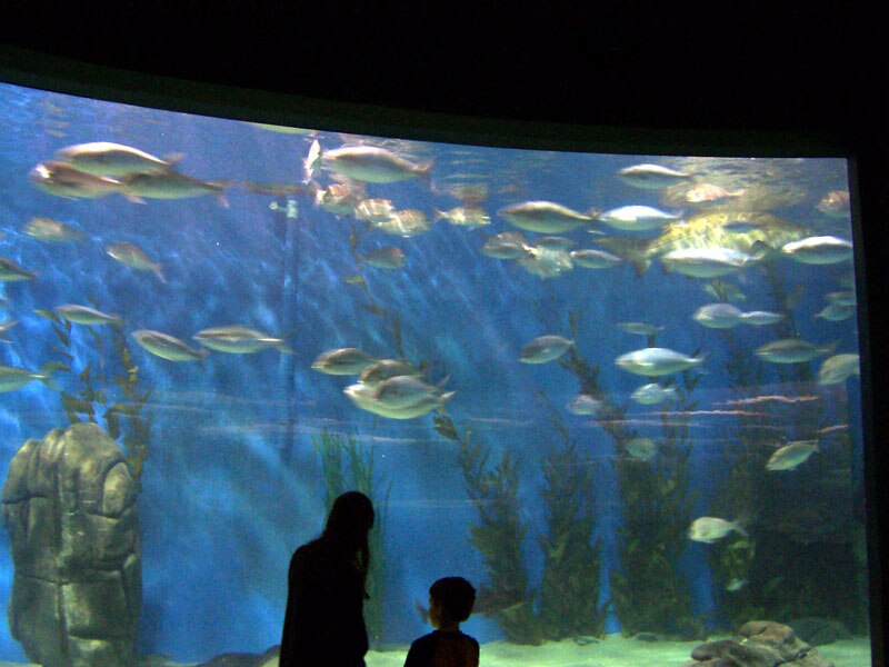 Melbourne Aquarium