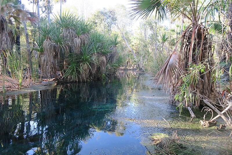 Elsey National Park