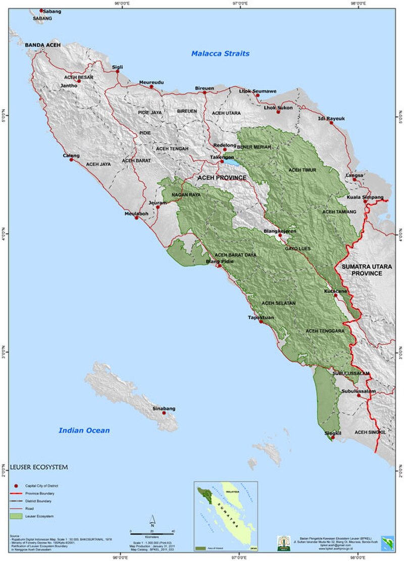 Gunung Leuser National Park