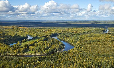 Vasyugan Swamp