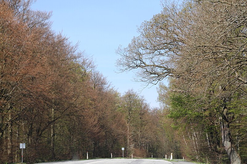 Store Dyrehave