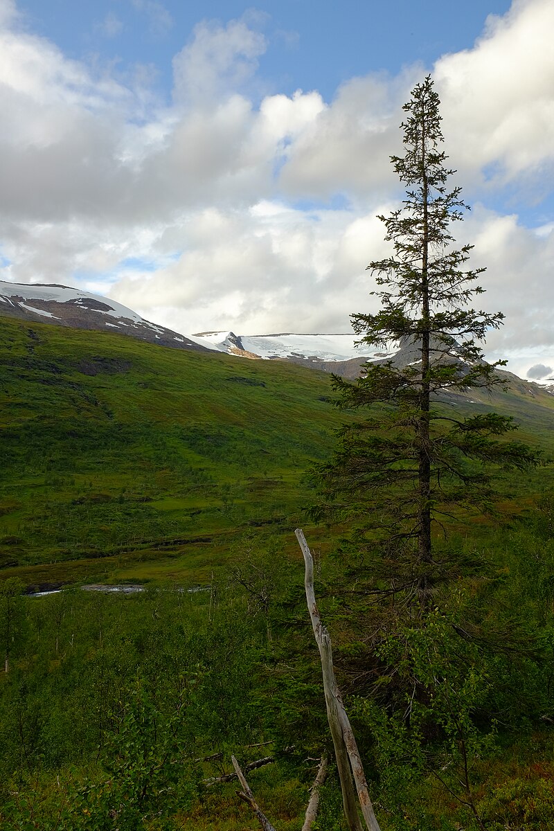 Saltfjellet–Svartisen National Park