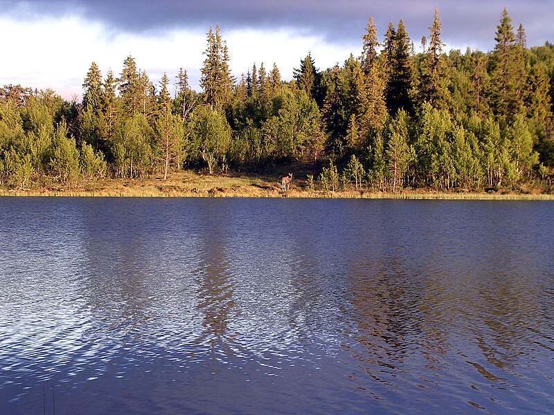 Femundsmarka National Park