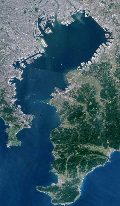 Tokyo Bay