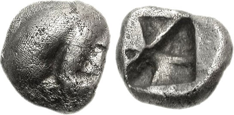 Phlius