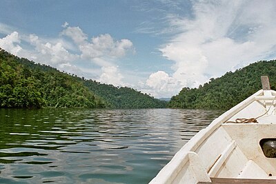 Belum Temenggor Forest Reserve