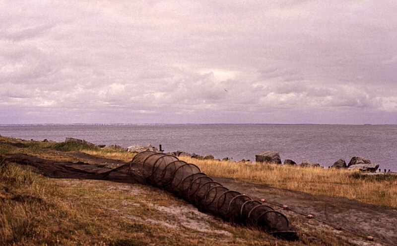Ringkøbing Fjord