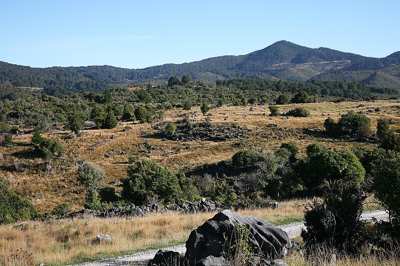 Kahurangi National Park