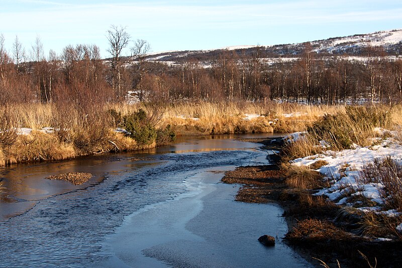 Forollhogna National Park
