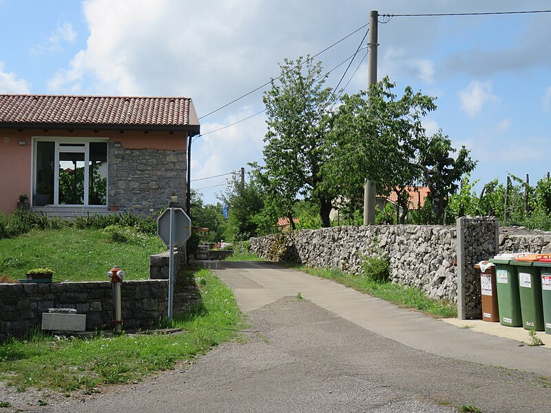 Šibelji