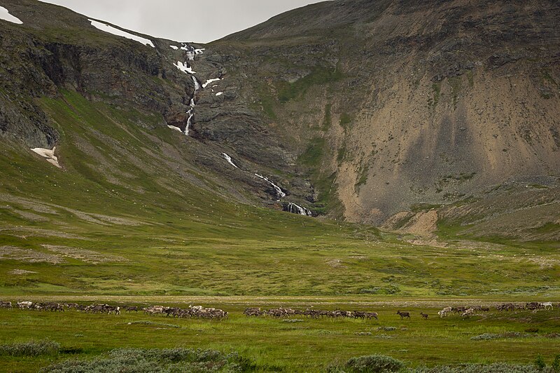Stabbursdalen National Park