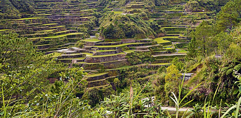 Rice Terraces of the Philippine Cordilleras