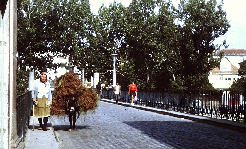 Roman Bridge of Chaves